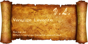 Venyige Levente névjegykártya