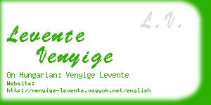 levente venyige business card